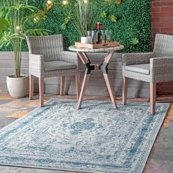 NuLOOM Elora Vintage Medallion Outdoor Area Rug