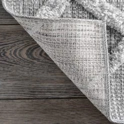 NuLOOM Carly Raised Fishnet Trellis Area Rug New Arrivals