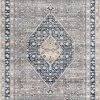 NuLOOM Vintage Eleanor Medallion Fringe Area Rug