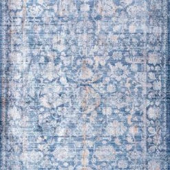 NuLOOM Iona Floral Distressed Area Rug New Arrivals