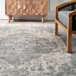 NuLOOM Medium Promise Ornate Medallion Area Rug