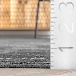 NuLOOM Evangeline Faded Medallion Area Rug New Arrivals