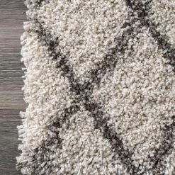 NuLOOM Lenita Trellis Shaggy Area Rug New Arrivals