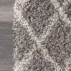 NuLOOM Lenita Trellis Shaggy Area Rug New Arrivals