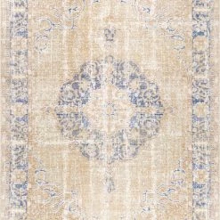 NuLOOM New Arrivals Vintage Valerie Area Rug