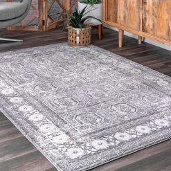 NuLOOM Vintage Alana New Arrivals