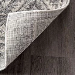 NuLOOM Shea Vintage Area Rug