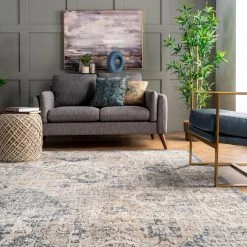 NuLOOM New Arrivals Gia Distressed Transitional Area Rug