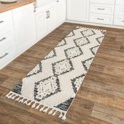 NuLOOM Kylee Soft Shaggy Textured Tassel Area Rug