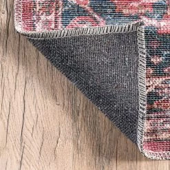 NuLOOM Katie Machine Washable Distressed Bordered Area Rug