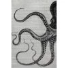 NuLOOM New Arrivals Adrienne Octopus Area Rug