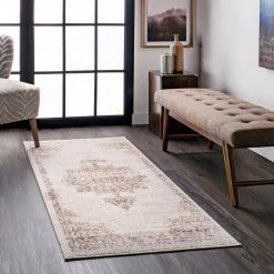NuLOOM New Arrivals Vintage Medallion Liliana Area Rug