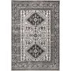 NuLOOM New Arrivals Emily Traditional Medallion Area Rug