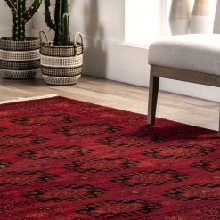 NuLOOM New Arrivals Diandra Traditional Persian Motif Fringe Area Rug
