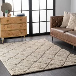 NuLOOM Deloise Trellis Shag Area Rug New Arrivals