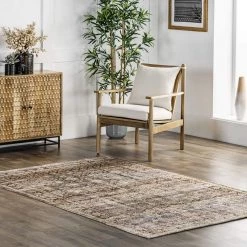 NuLOOM Ashleigh Hand Woven Vintage Distressed Flatweave Area Rug