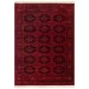 NuLOOM New Arrivals Diandra Traditional Persian Motif Fringe Area Rug