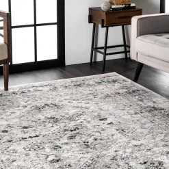 NuLOOM Vintage Speckled Shaunte Area Rug New Arrivals