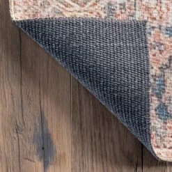 NuLOOM Brianna Vintage Distressed Area Rug