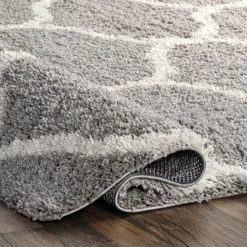 NuLOOM Malika Soft & Cozy Trellis Shag Area Rug New Arrivals