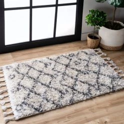 NuLOOM New Arrivals Transitional Kristi Shag Area Rug