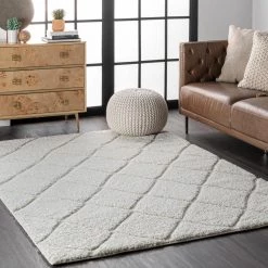 NuLOOM Deloise Trellis Shag Area Rug New Arrivals