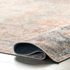 NuLOOM Brianna Vintage Distressed Area Rug