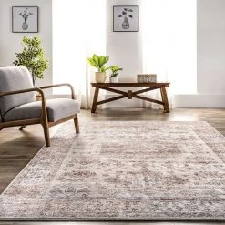NuLOOM Parisa Vintage Medallion Bordered Area Rug New Arrivals