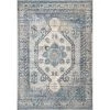 NuLOOM Alexis Vintage Distressed Medallion Area Rug
