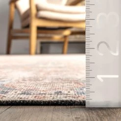 NuLOOM Brianna Vintage Distressed Area Rug