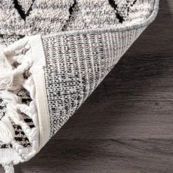 NuLOOM New Arrivals Sully Soft Snowflake Textured Tassel Area Rug