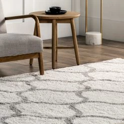 NuLOOM Malika Soft & Cozy Trellis Shag Area Rug New Arrivals