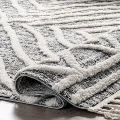 NuLOOM New Arrivals Pamela Contemporary High Low Shaggy Tassel Area Rug