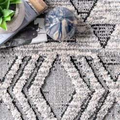 NuLOOM New Arrivals Sully Soft Snowflake Textured Tassel Area Rug