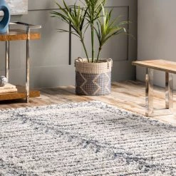 NuLOOM Crishelle Soft Shaggy Stripe Tassel Area Rug