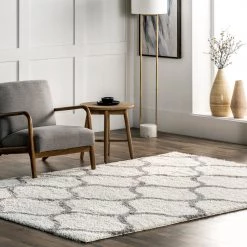NuLOOM Malika Soft & Cozy Trellis Shag Area Rug New Arrivals