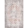 NuLOOM Vintage Paisley Area Rug New Arrivals