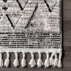 NuLOOM New Arrivals Sully Soft Snowflake Textured Tassel Area Rug