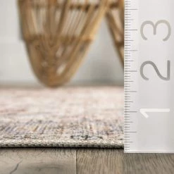 NuLOOM Kimora Washable Vintage Area Rug New Arrivals