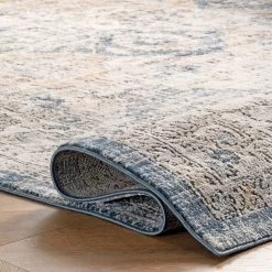 NuLOOM New Arrivals Gia Distressed Transitional Area Rug