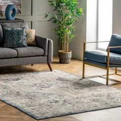 NuLOOM New Arrivals Gia Distressed Transitional Area Rug