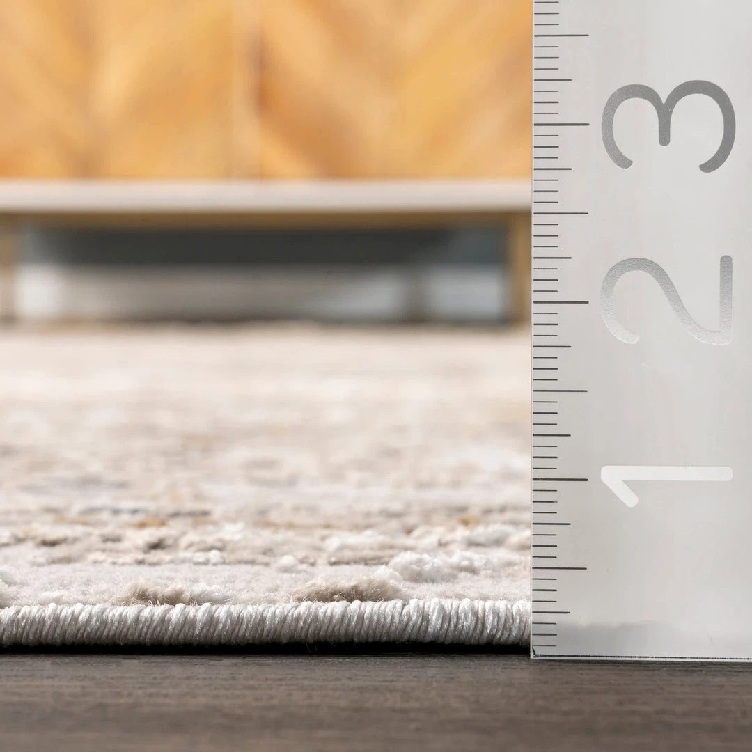 NuLOOM Lucille Faded Vintage Medallion Area Rug 3 NuLOOM Lucille Faded Vintage Medallion Area Rug