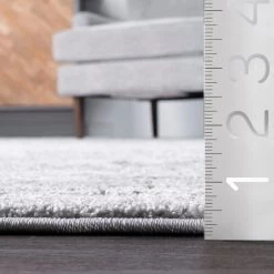 NuLOOM Transitional Medallion Gena Area Rug