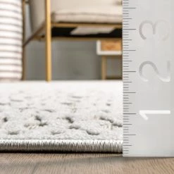 NuLOOM Wendy Textured Diamond Trellis Indoor/Outdoor Area Rug