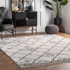 NuLOOM New Arrivals Lucie Shaggy Trellis Tassel Area Rug