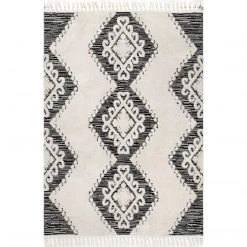 NuLOOM Kylee Soft Shaggy Textured Tassel Area Rug