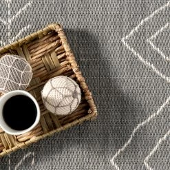 NuLOOM Serna Indoor/Outdoor Area Rug New Arrivals