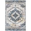 NuLOOM New Arrivals Sonya Machine Washable Vintage Medallion Area Rug