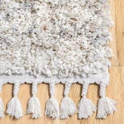 NuLOOM Brooke Contemporary Soft Shag Tassel Area Rug