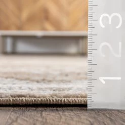 NuLOOM Rachael Medallion Bordered Area Rug